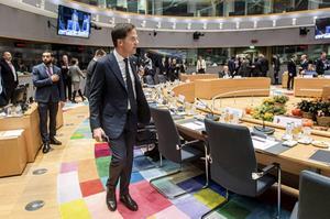 beeld ANP, Jonas Roosens