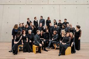 Kamerkoor Cappella Amsterdam. beeld Marc Driessen