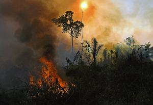 beeld AFP, Carl de Souza