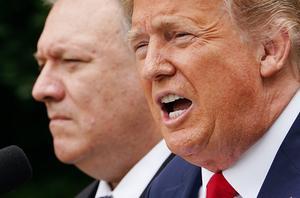 Trump. beeld AFP
