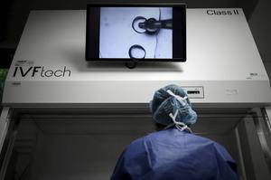 „Embryo’s kweken voor onderzoek is verboden in de Embryowet uit 2005. Onderzoek doen met embryo’s die zijn overgebleven na ivf-behandeling mag wel.” beeld AFP, Philippe Lopez