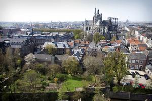De Sint-Janskathedraal in Den Bosch. beeld RD, Henk Visscher