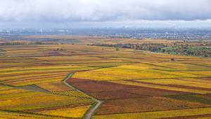beeld EPA/RONALD WITTEK