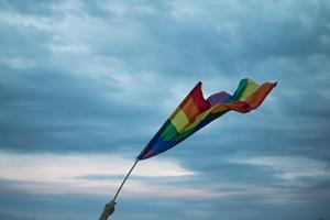 De Gaykrant staat bekend als het grootste landelijke lhbt+ platform van Nederland. Beeld Unsplash