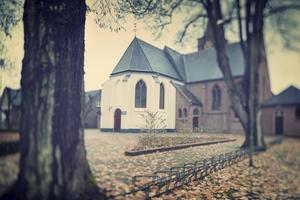 beeld Sjaak Verboom