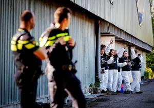 Een stalbezetting door dierenrechtenactivisten in Boxtel eerder dit jaar. beeld ANP