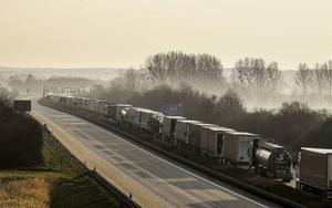 File bij Bautzen, Duitsland, in de richting van de grens met Polen, woensdag. beeld EPA, Filip Singer