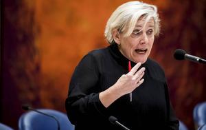 Minister Ank Bijleveld (Defensie). beeld ANP, Bart Maat