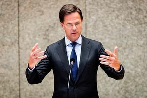 Rutte. beeld ANP