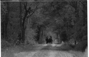 Rijtuig met paarden op de Veldhoefweg in Putten.  beeld uit ”Het land van de jonker”