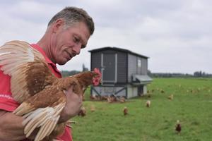 Boer Anton de Wit uit Reeuwijk houdt 249 kippen in zijn kippenkar, een mobiel en volledig geautomatiseerd kippenhok dat in zijn weiland staat. beeld Theo Haerkens