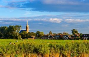 beeld Getty Images