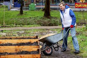 Koning Willem-Alexander stak in maart bij een kinderboerderij in Soest de handen uit de mouwen op de nationale vrijwilligersdag NLDoet. Vandaag is het Nationale Vrijwilligersdag. beeld ANP, Patrick van Katwijk