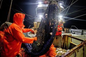Nederlandse vissers aan het werk op de Noordzee. beeld ANP, Niels Wenstedt