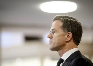 Premier Rutte tijdens een vorige persconfentie. beeld ANP, Sem van der Wal