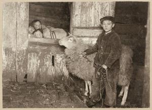 In 1914 bezochten Tonnis Post en Pieter Middendorp de woning van Freerk Smit in de Lethe bij Bellingwolde. Daar brachten ze ook de bedstede in beeld. Normaliter waren de luiken overdag gesloten, maar voor de foto demonstreerden de drie kinderen hoe ze ’s nachts in bed lagen. Het gezin Smid telde acht kinderen; de ramen van het huisje konden niet open. beeld uit "Vier eeuwen Nederland"