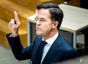 Rutte. beeld ANP