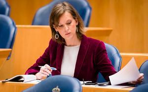 ChristenUnie-Kamerlid Stieneke van der Graaf. beeld ANP, Bart Maat