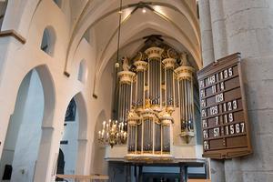 „Het was haast vermakelijk om te horen wat voor varianten er werden bedacht om te kunnen zingen in de kerk.” beeld RD, Anton Dommerholt