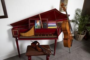 „Zorg dat er muziekinstrumenten in huis aanwezig zijn.”​ beeld Anton Dommerholt