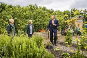 Koning Willem-Alexander bezoekt een perenboomgaard in Zoetermeer. beeld ANP
