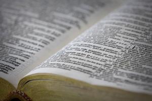 „Gods beloften in de Schrift zijn waarachtig.” beeld RD, Henk Visscher