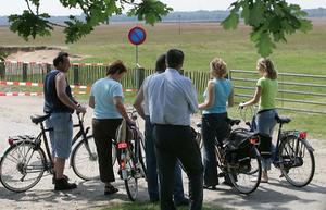 Fietsers op de Ginkelse Heide bij Ede. beeld ANP, Vidiphoto