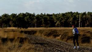 Ga –met inachtneming van de maatregelen van het RIVM– buiten wandelen of hardlopen om aan genoeg beweging te komen. beeld ANP, Robin van Lonkhuijsen