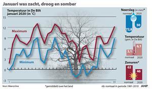 beeld ANP