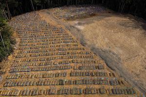 Graven voor coronaslachtoffers in Brazilië. beeld AFP