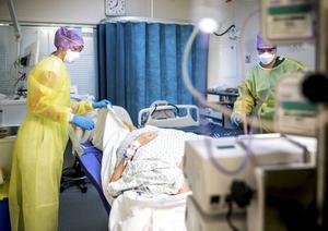 Verplegend personeel verleent zorg aan een coronapatiënt op de intensive care. beeld ANP, Remko de Waal