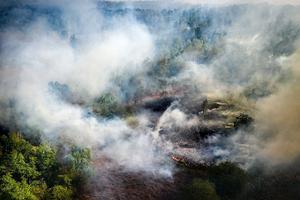 Natuurbrand in de Deurnsche Peel. beeld ANP