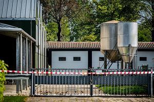 beeld ANP, Rob Engelaar