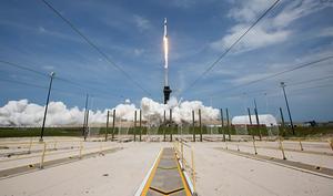 Lancering van de SpaceX. beeld AFP