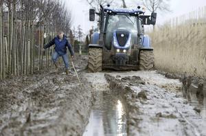 Tot de assen weggezakt ploegt een zware tractor van Betuwe Boomkwekerij uit Opheusden door de modder. De zeldzaam grote wateroverlast maakt aan alle droogteverhalen definitief een eind. beeld VidiPhoto