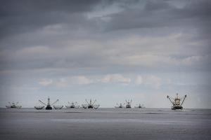 beeld RD, Henk Visscher