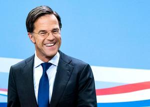 Rutte. beeld ANP
