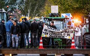 beeld ANP, Rob Engelaar
