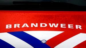 beeld ANP KOEN SUYK
