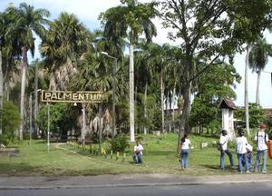 De Palmentuin in de Surinaamse hoofdstad Parimaribo. beeld Marius Bremmer