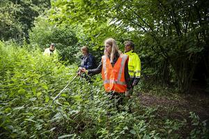 Vrijwilligers tijdens de zoektocht. beeld ANP MAARTEN SPRANGH
