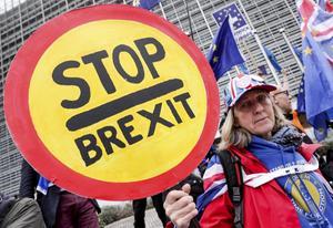 Demonstranten houden borden met de leus ”Stop brexit” vast. beeld EPA, Stephanie Lecocq